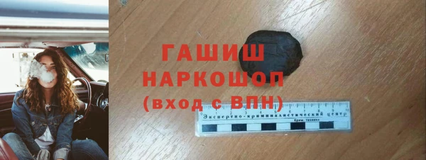 гидра Каменка