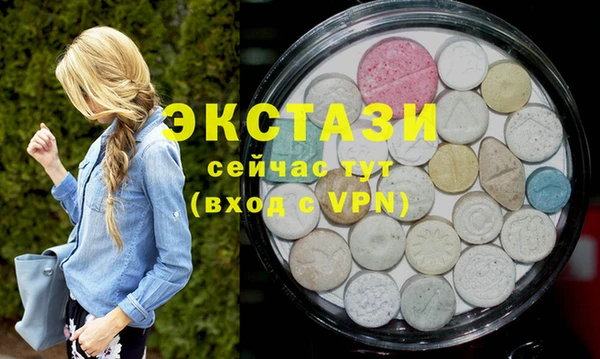 гидра Каменка