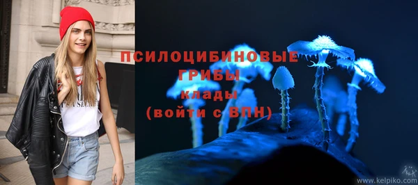 гидра Каменка