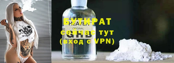 гидра Инта
