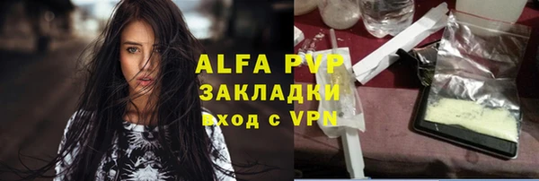 гидра Каменка