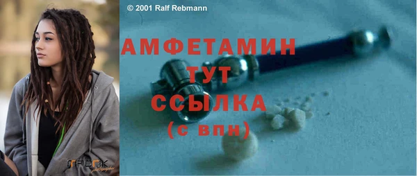 гидра Каменка