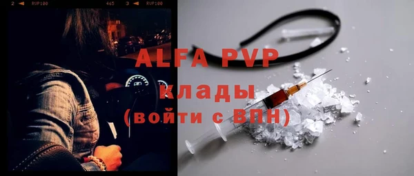 гидра Инта