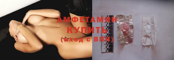 гидра Каменка