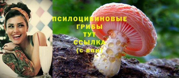 гидра Каменка
