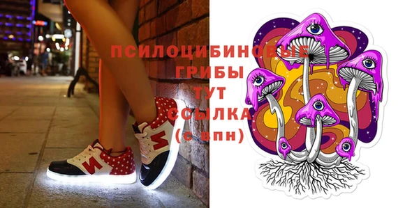 метадон Каменногорск