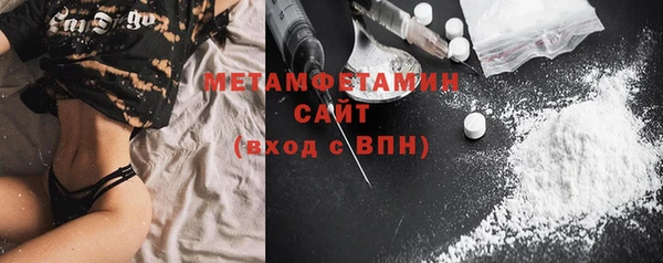 гидра Каменка