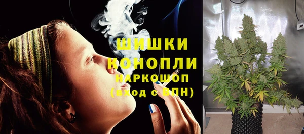 гидра Каменка