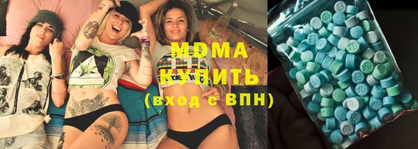 гидра Каменка