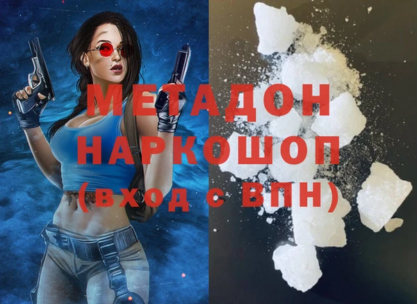 гидра Каменка