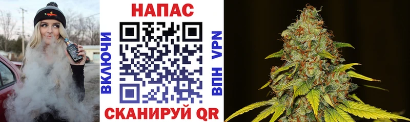 Купить где  Суджа  Марихуана Ganja 